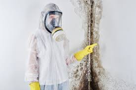 Best Mold Damage Restoration  in Hialeah Gardens, FL